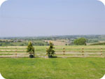 A view north from the garden.